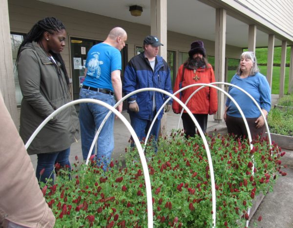 The group talks about clover and its effects on soils.